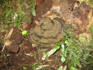 img_0288 img_0288