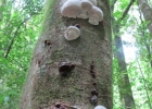img_1407 img_1407
