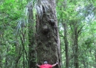 img_1410 img_1410