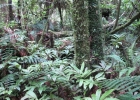 img_1424 img_1424