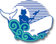 Whale-Watching in Kaikoura NZ – Experience of a Lifetime