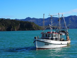 Fishing boat arrives at Diamond Harbour