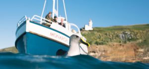 Monarch Cruise to see Albatross