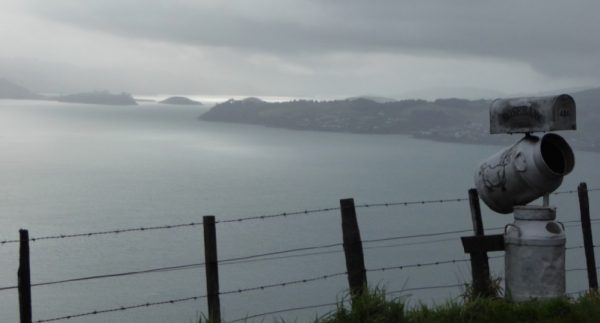 Dunedin - Otago Peninsula