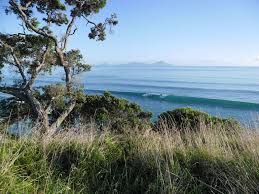 Visit Waipu and the beaches of the North