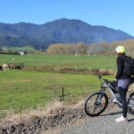 Cycling the Hauraki Rail Trail