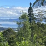 Rotorua – cycling the Whakarewarewa Forest Loop