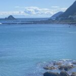 Wellington's rocky shore