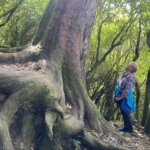 Peel Forest – Ancient and Accessible Legacy
