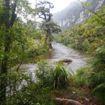 Punakaiki – One of the Jewels of the West Coast